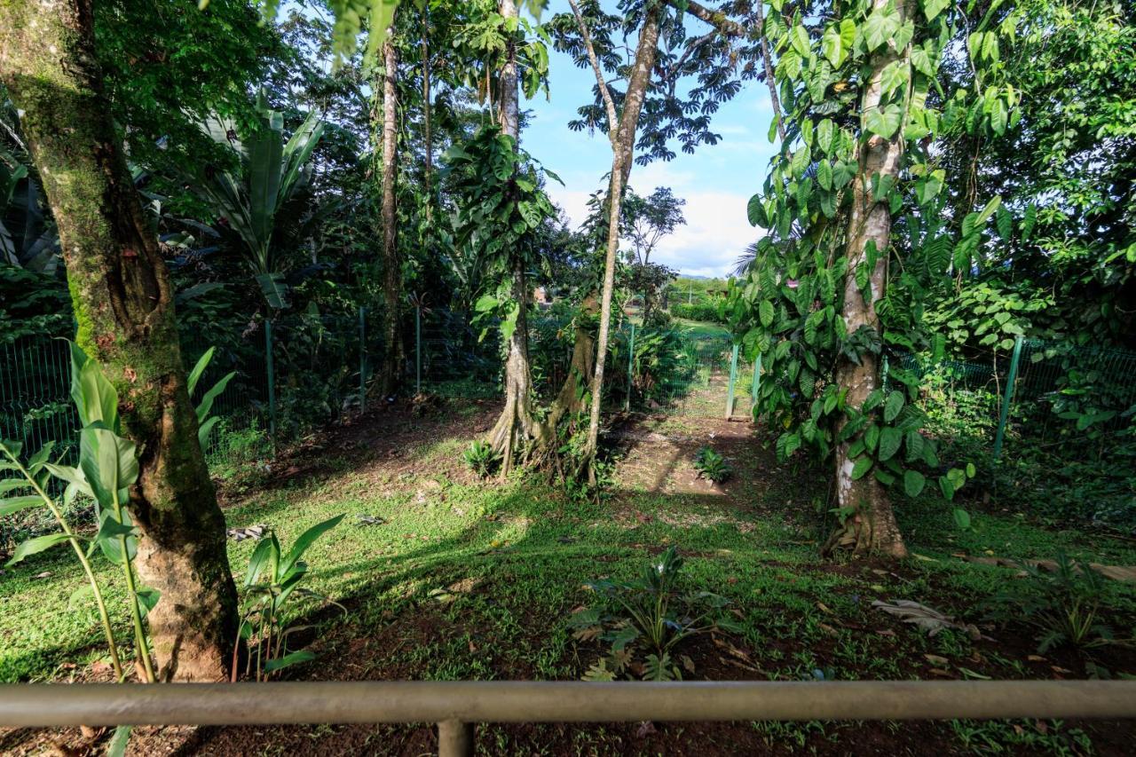 Casa Del Bosque At La Fortuna